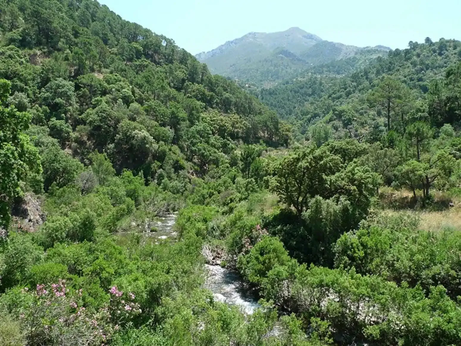 P.R.-A 280 ISTÁN-CHARCO DEL CANALÓN