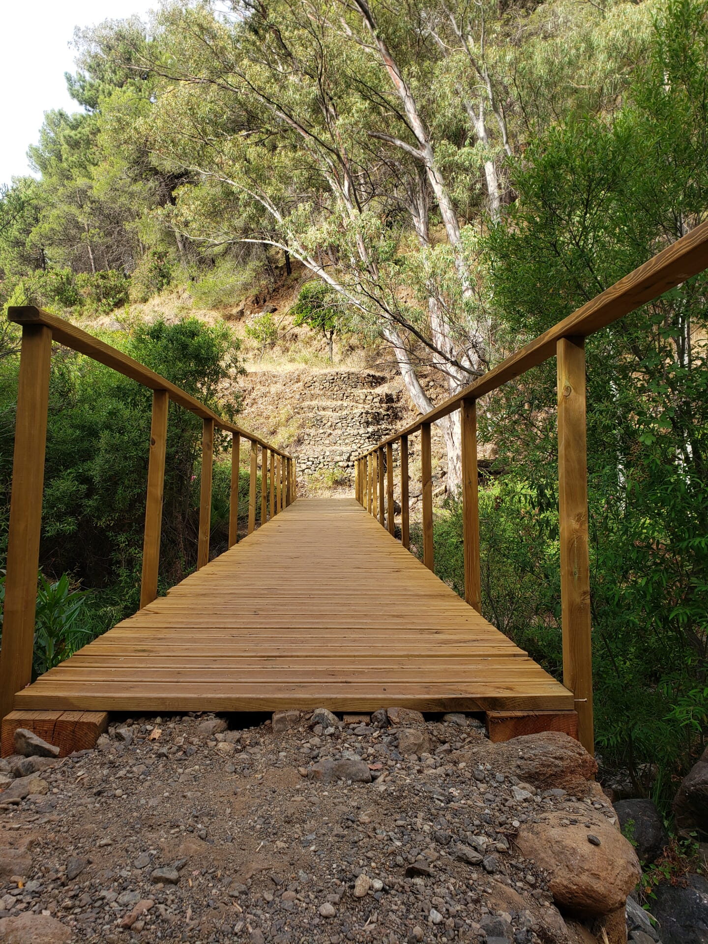 Sendero Charco de la Virgen SL-A 239