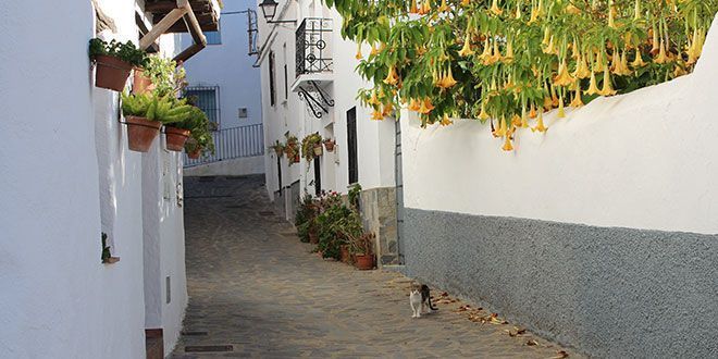 Casa Antoñita