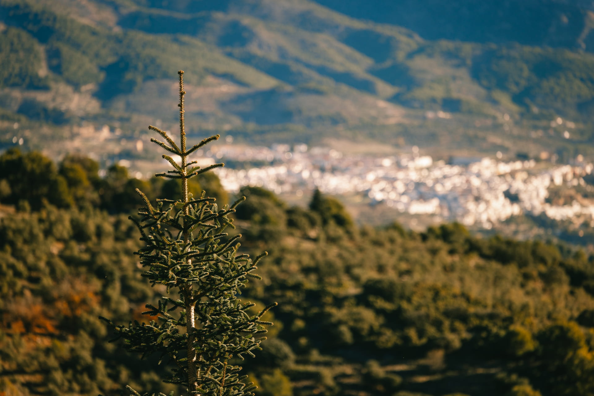 Caucón – Tajo de la Caína