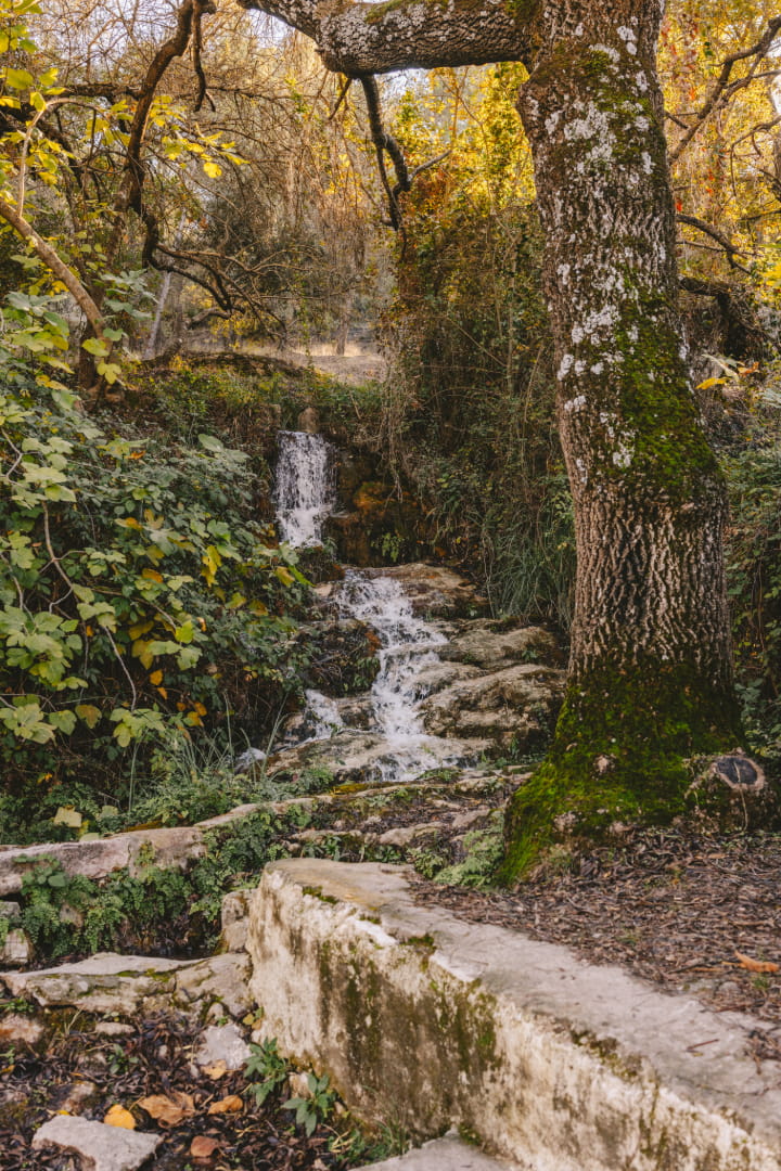 El Burgo – La Fuensanta