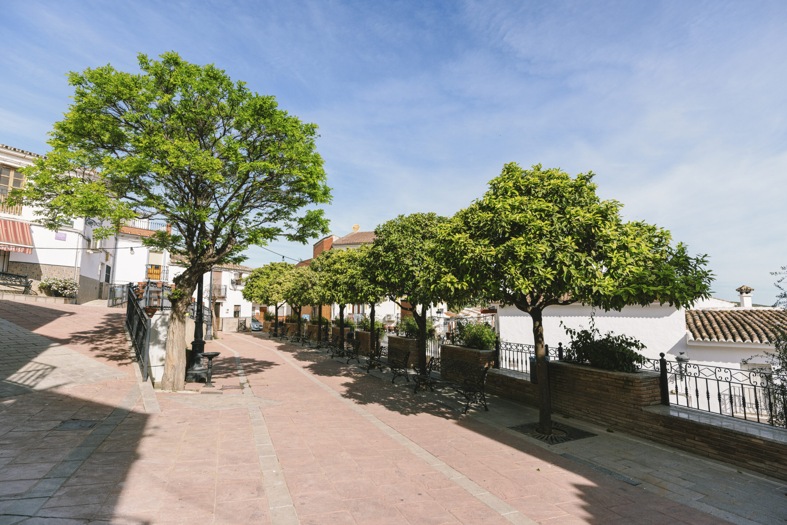 Plaza de Andalucía de Serrato