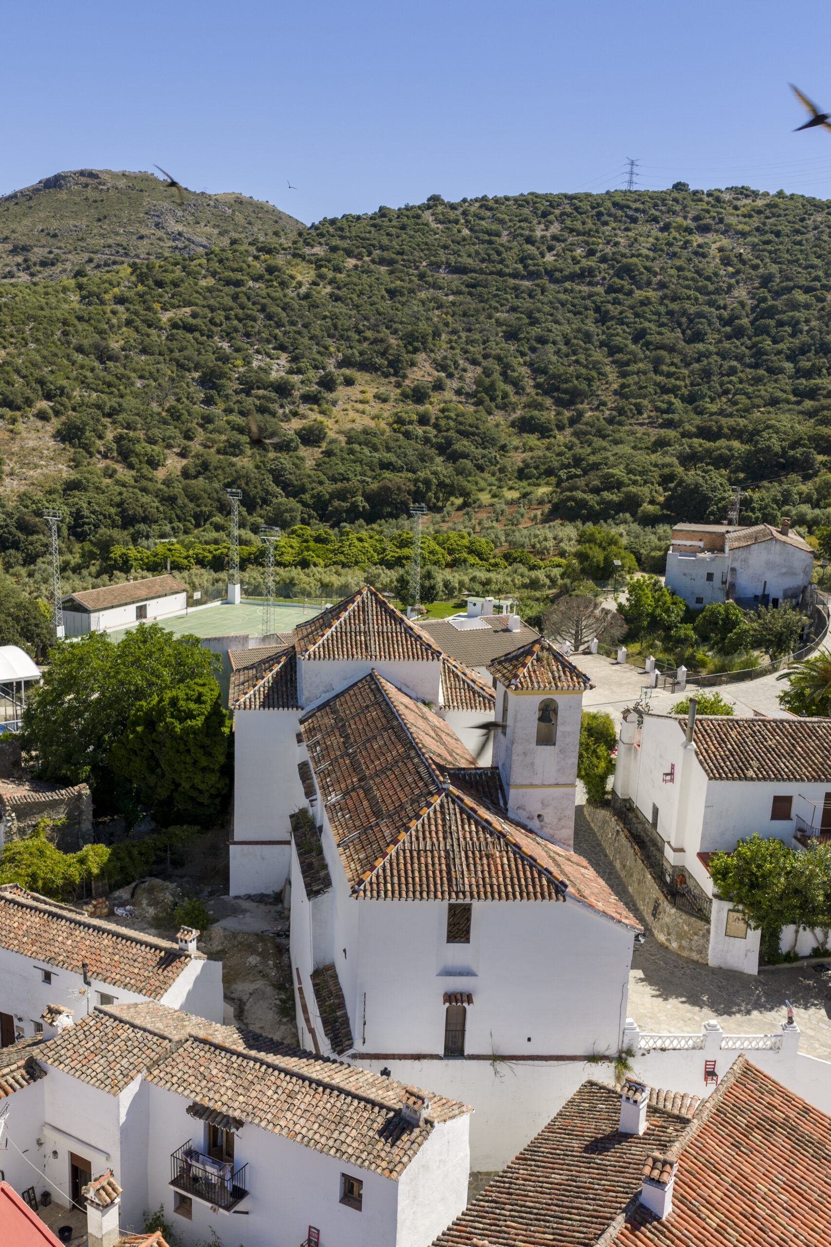 Iglesia de la Inmaculada Concepción, Parauta